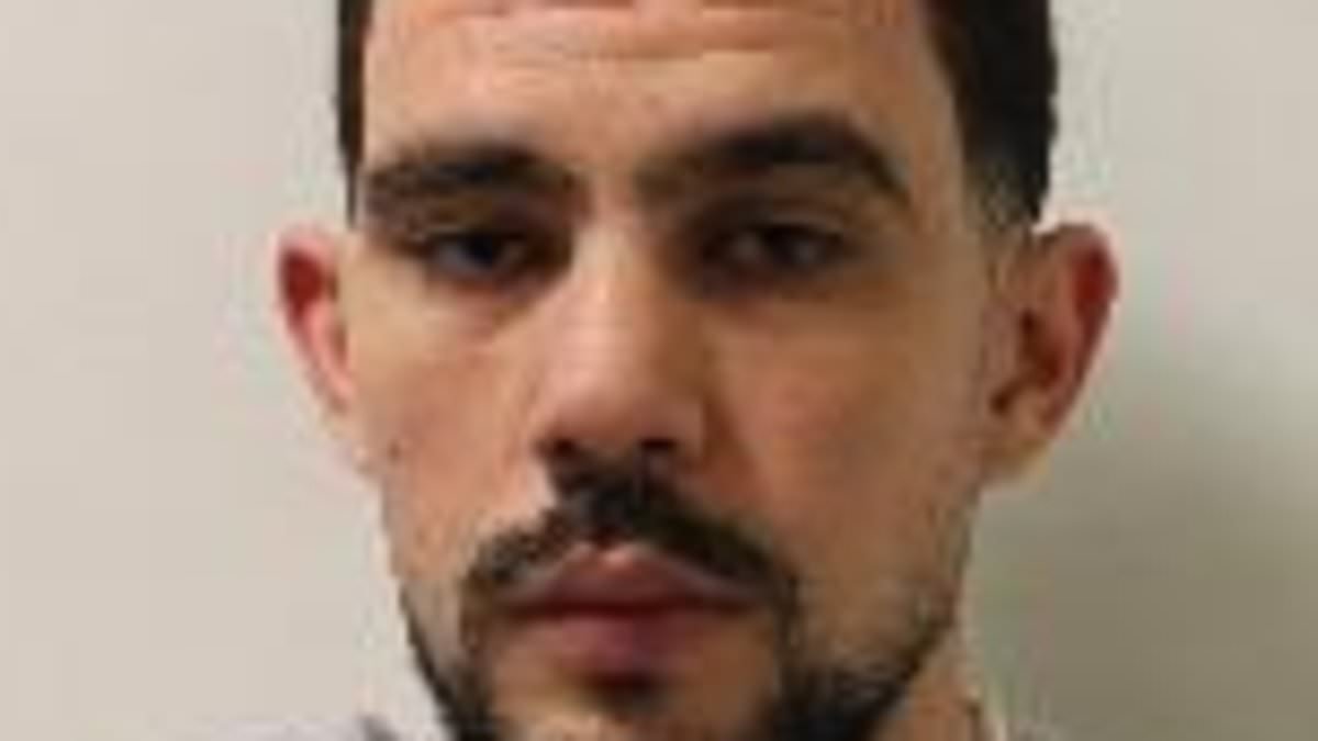 Algerian migrant who stole £31,000 worth of laptops from City workers during two-month crime spree is jailed for 18 months