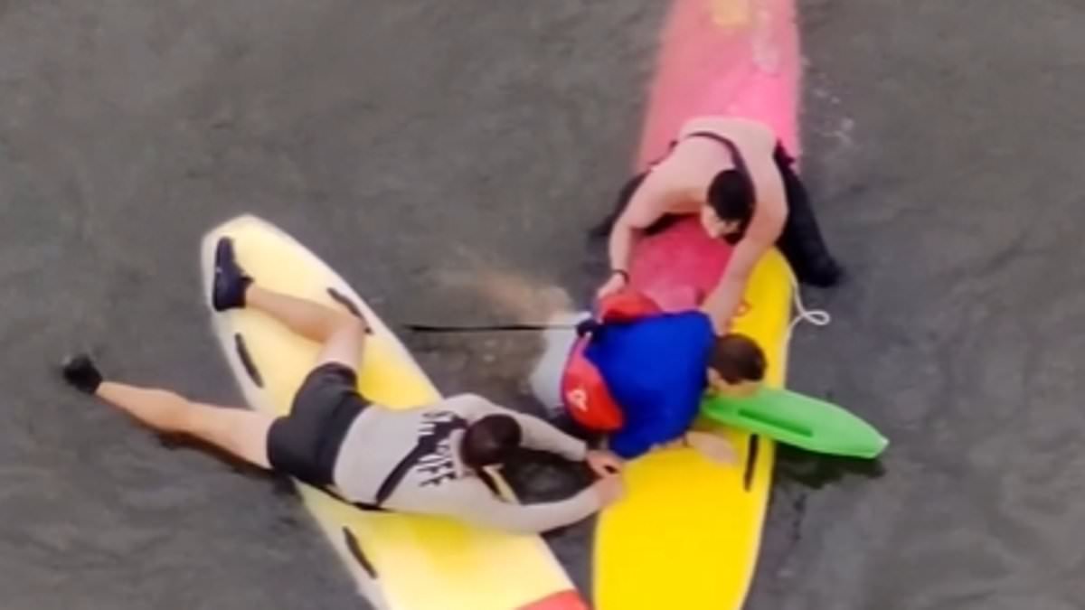 Incredible moment police chase suspect down on PADDLEBOARDS after he tries to swim away