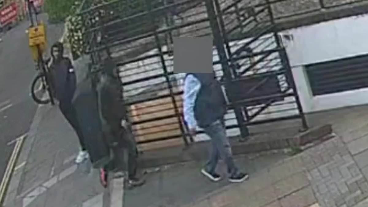 Moment Algerian Rolex ripper ambushes businessman in London to snatch £30k watch