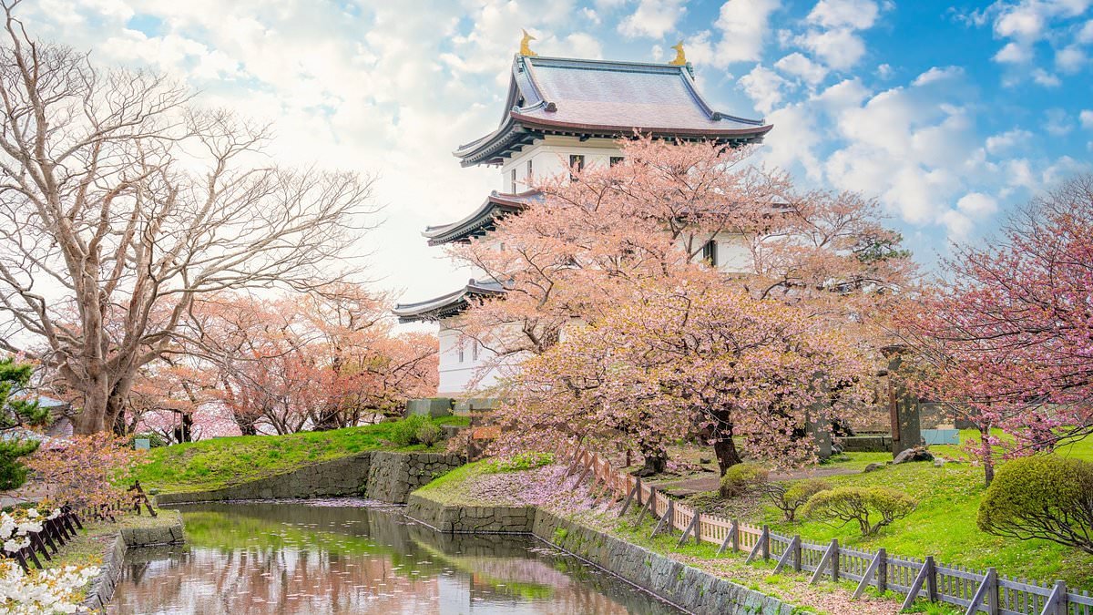 Why visiting one of Japan's most popular tourist sights could be even cheaper this year