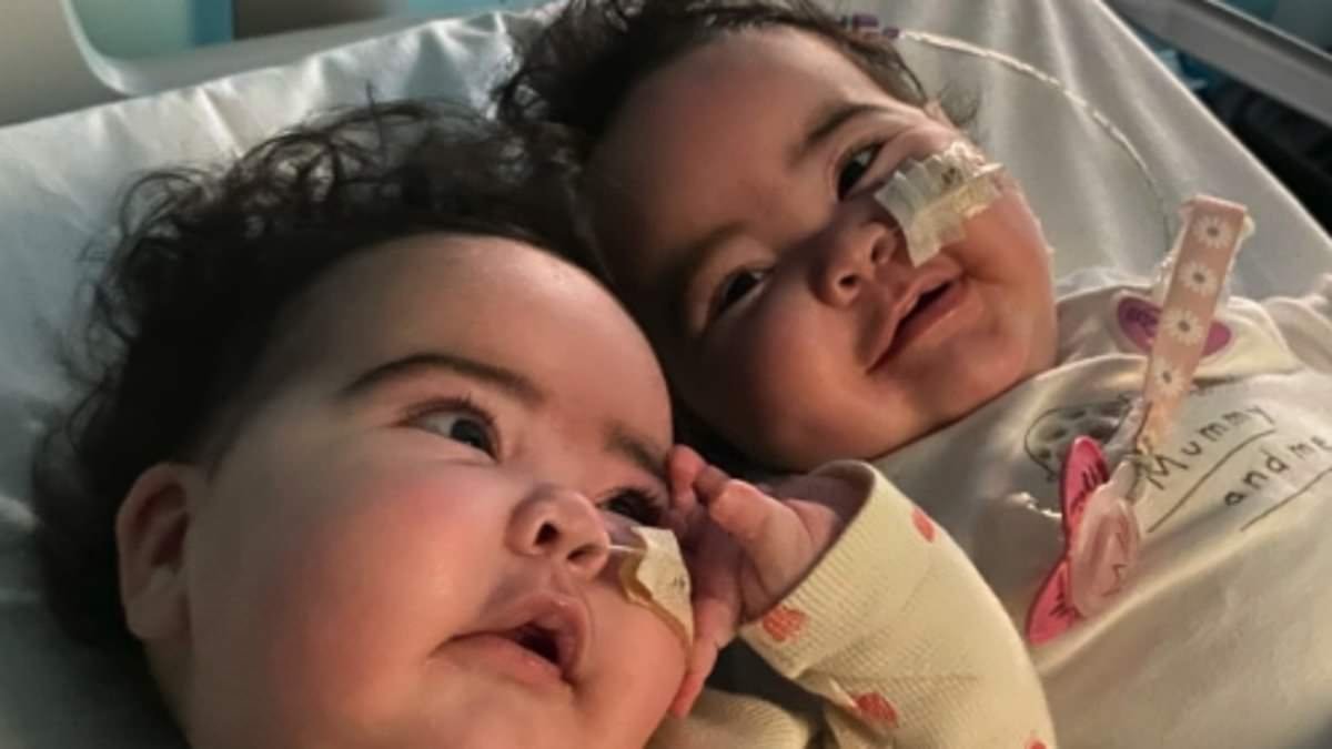 Jesy Nelson shares sweet snap of her twin daughters on latest hospital visit amid their devastating SMA battle: 'The strongest little girls I know'
