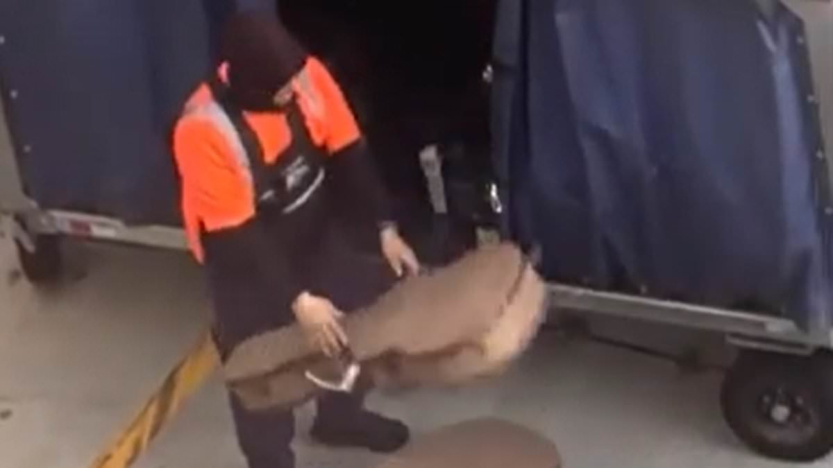 LAX baggage handler launches expensive guitars onto the ground