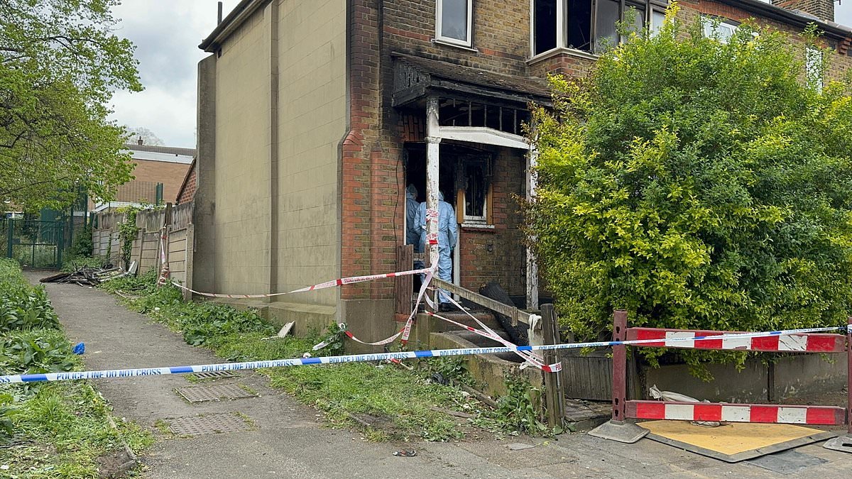 Man, 25, charged with murder after two die in house fire in north London