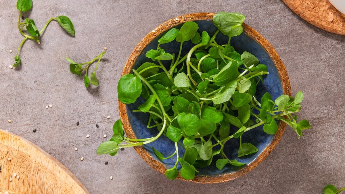 Watercress has been hailed 'healthiest vegetable in the world' by health chiefs - experts reveal why... and how to get more of it in your diet