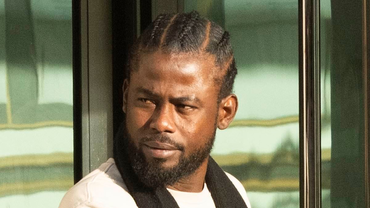 Failed asylum seeker who subjected woman to 'animalistic' rape while he was staying at taxpayer-funded hotel is jailed for seven years