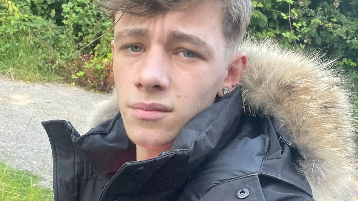 Pictured: Boy, 17, at centre of village murder investigation as five people are arrested