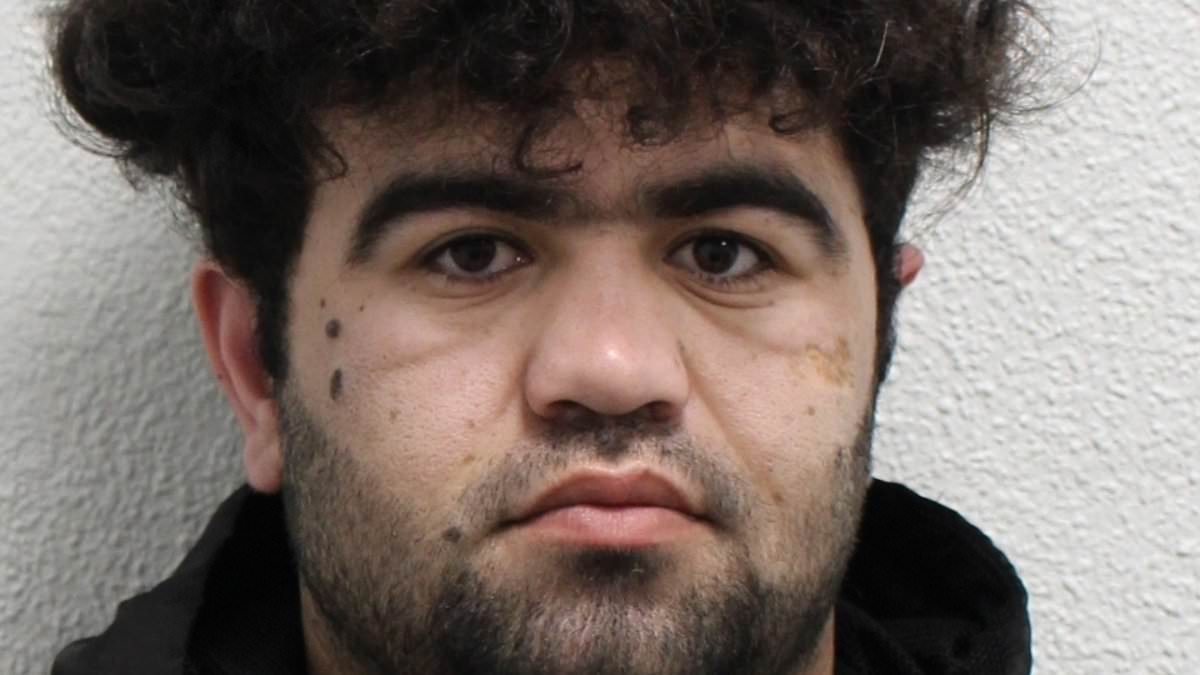 Afghan member of trafficking gang that smuggled young boys into the UK on small boats and raped and blackmailed them with sex attack footage will be kicked out of the country