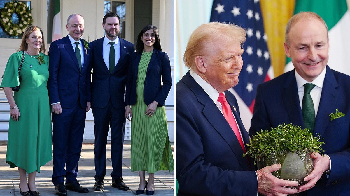 Trump strikes $6BILLION deal with Ireland to bankroll US jobs after claims the Irish are 'stealing' American companies