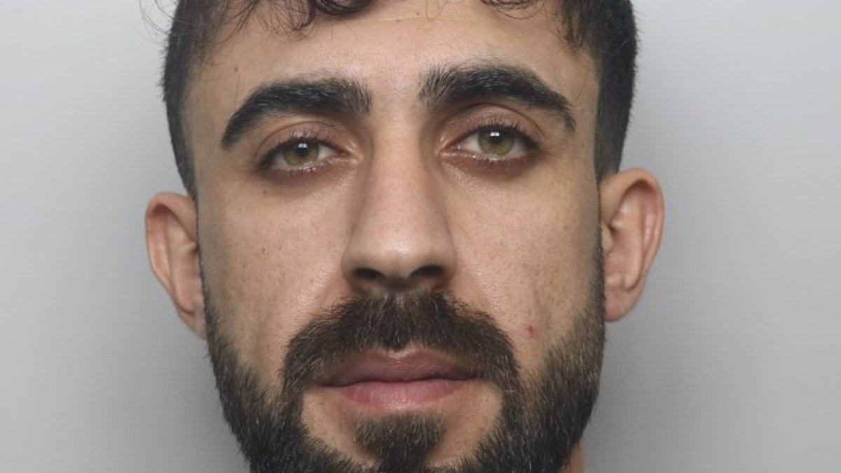 Kurdish asylum seeker, 27, raped girl he met online in the grounds of Tamworth Castle just weeks after arriving in the UK on a small boat