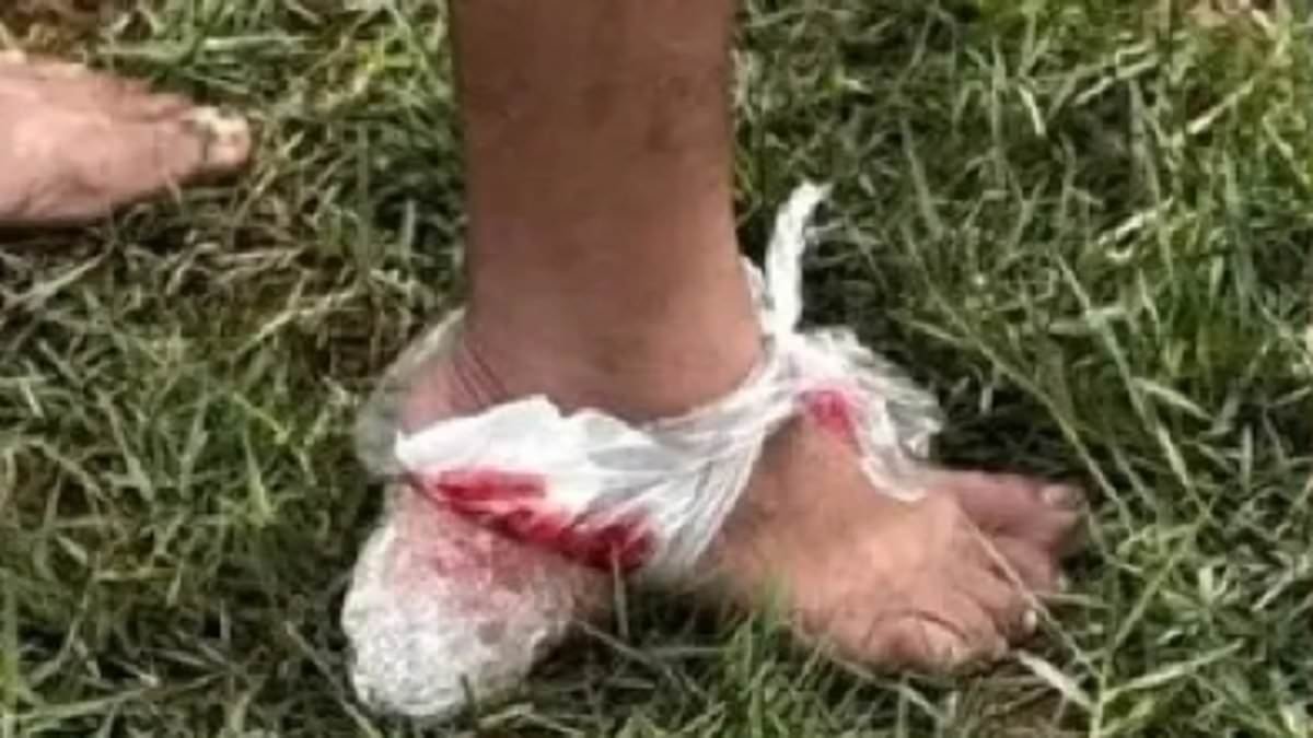 Piranha attack leaves ten people injured and forces Brazil tourist spot to ban swimming