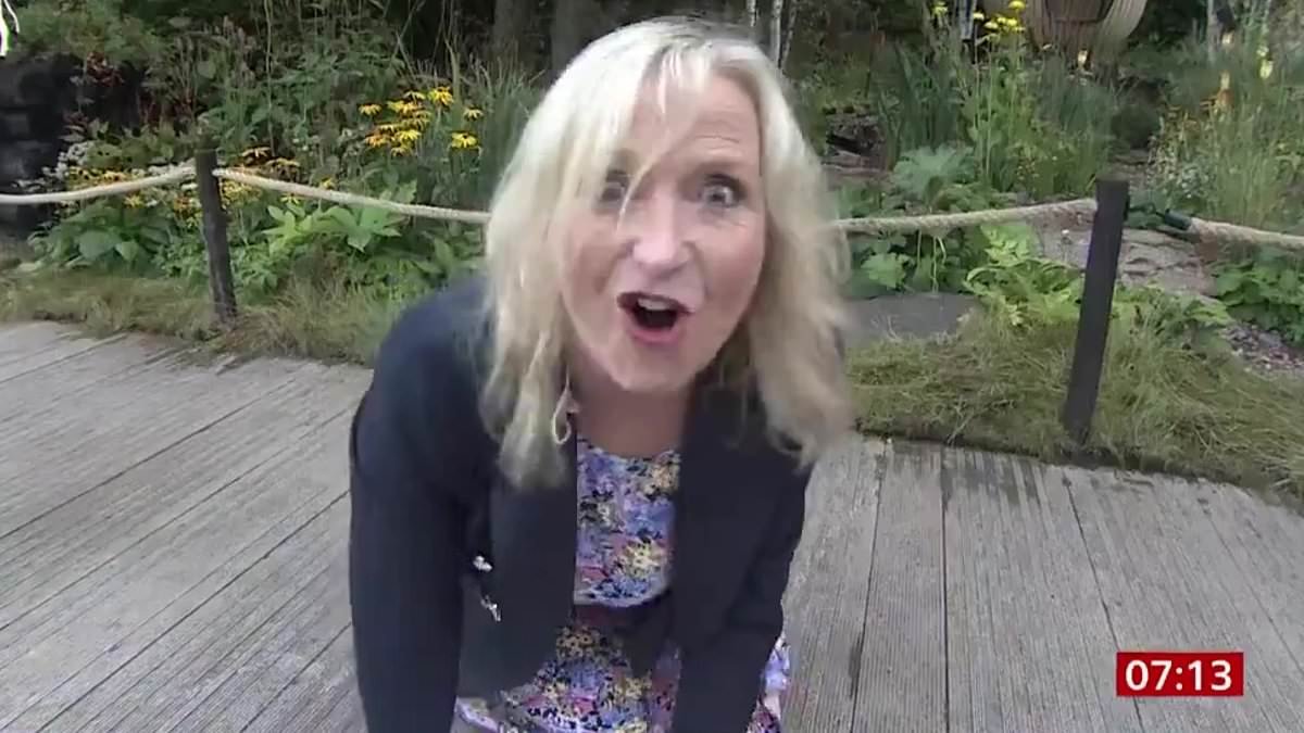 Carol Kirkwood's most legendary BBC Breakfast bloopers as she quits show after more than 25 years with broadcaster - from dramatic tumbles to VERY cheeky innuendos