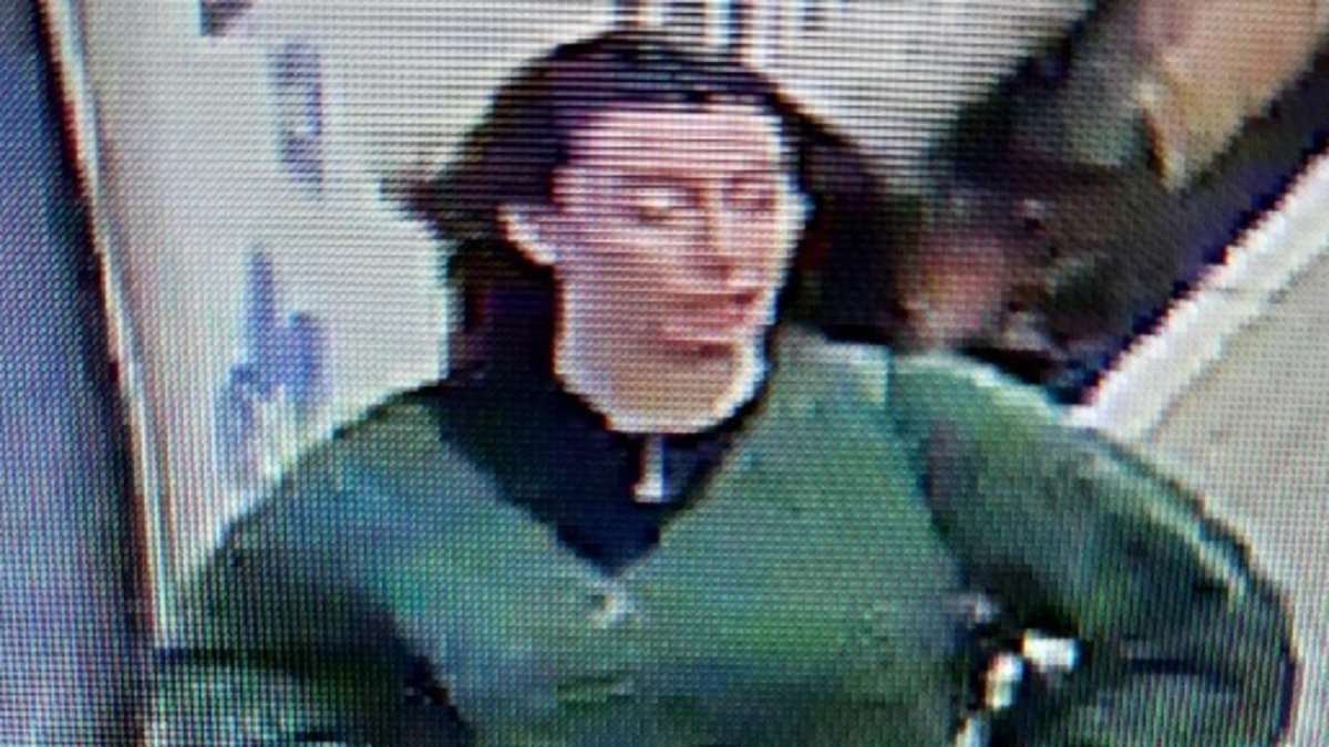 CCTV released after 'man is sexually assaulted by a woman on a train'