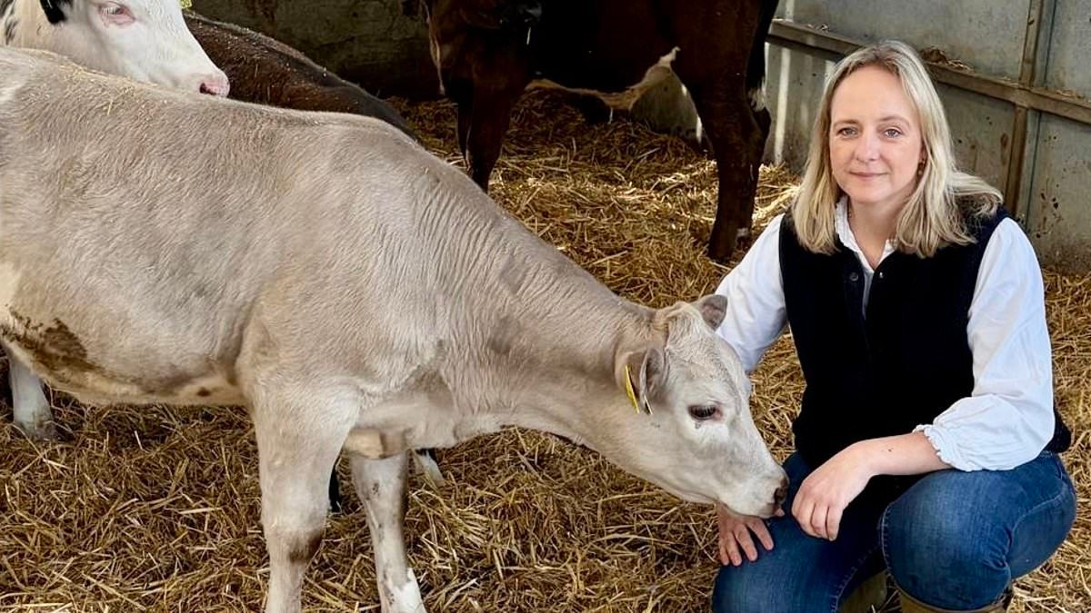 Farmer exposes 'ridiculous' government licensing system that lets criminals dump waste in the country - after registering her prize COW Beau as an official rubbish disposer