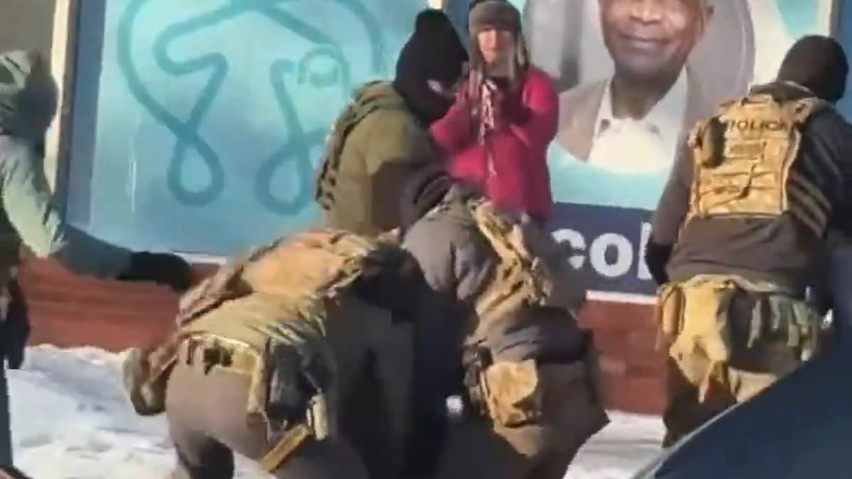 What happened to Alex Pretti's key witness? Woman in pink jacket tells her story after recording deadly Border Patrol shooting in Minneapolis