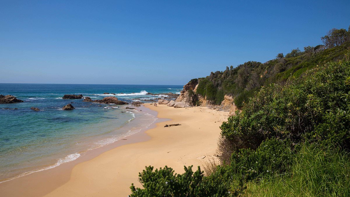 Missing British tourist is found dead on Australian beach after falling from a cliff