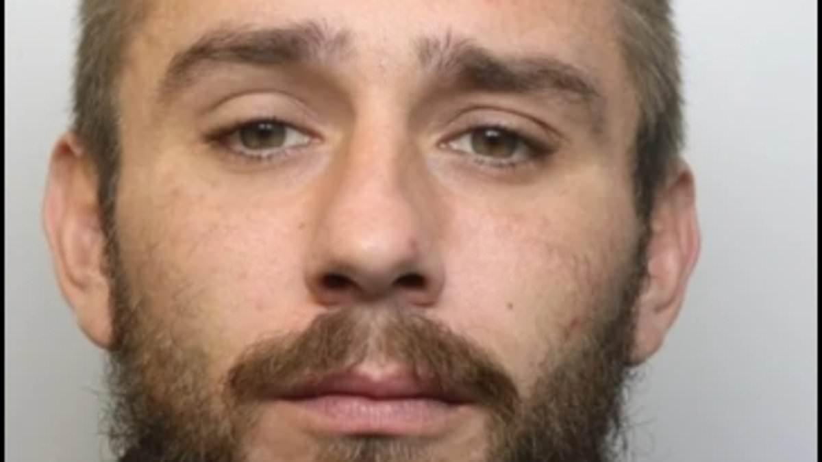 Tube fare dodger who left passenger with a bleed on the brain after he blocked his way through barrier is jailed