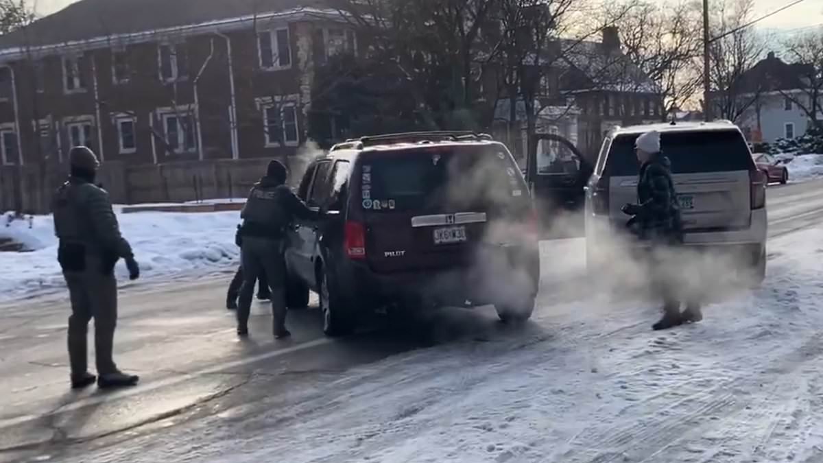 All the videos that captured the Minneapolis ICE shooting as political war rages over who was to blame