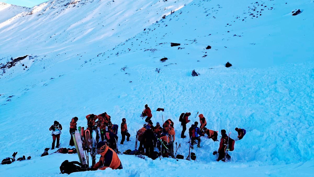 Eight skiers killed as three avalanches strike in the space of just four hours in Austria