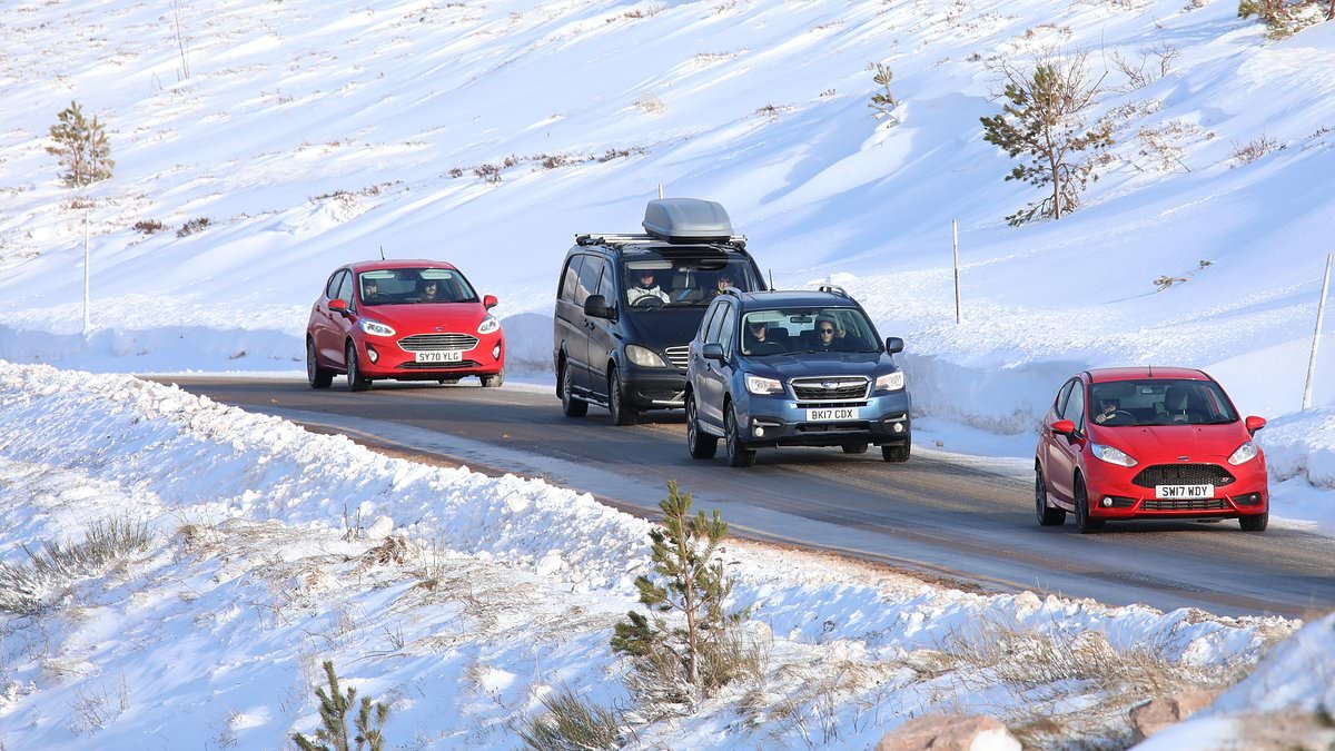 Met Office warns of Arctic blast with four inches of SNOW, ice and minus 7C freeze on the way - but says we may even see the sun tomorrow!