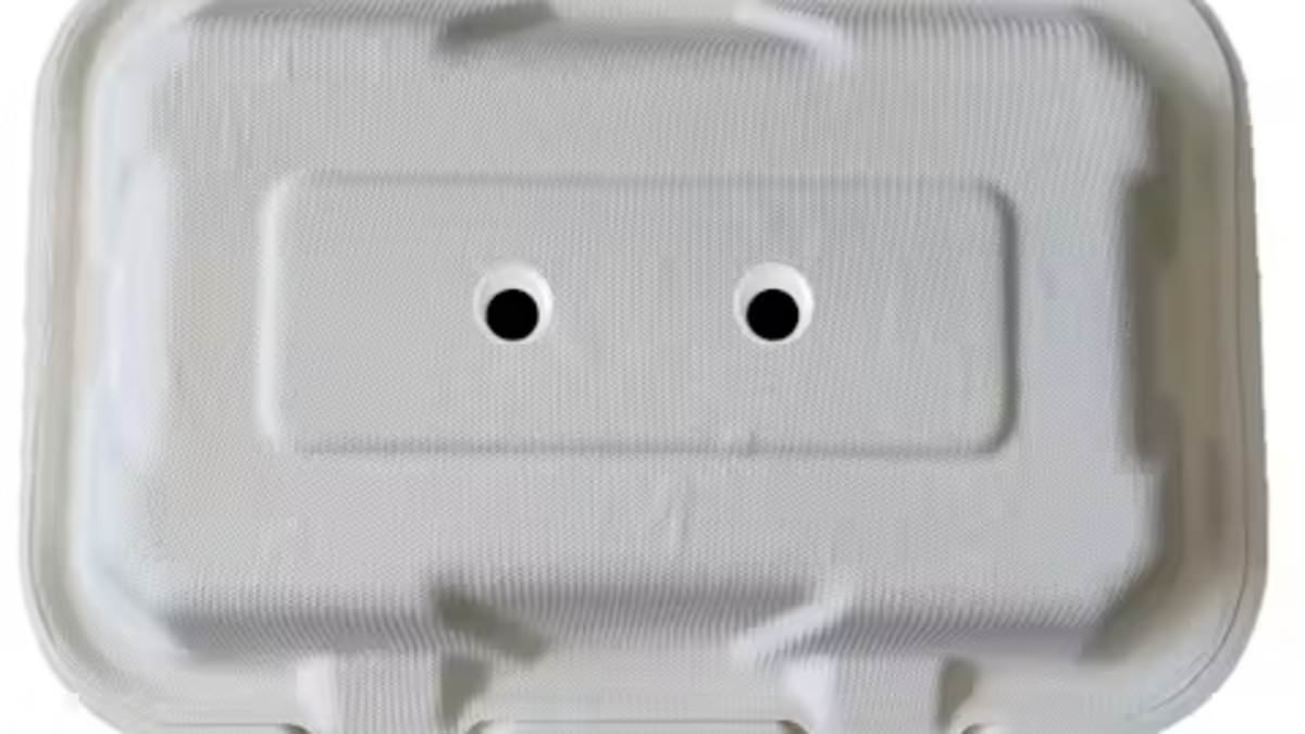 Sick of seagulls stealing your chips? Stick googly EYES on your takeaway to keep swooping birds away, wacky study claims