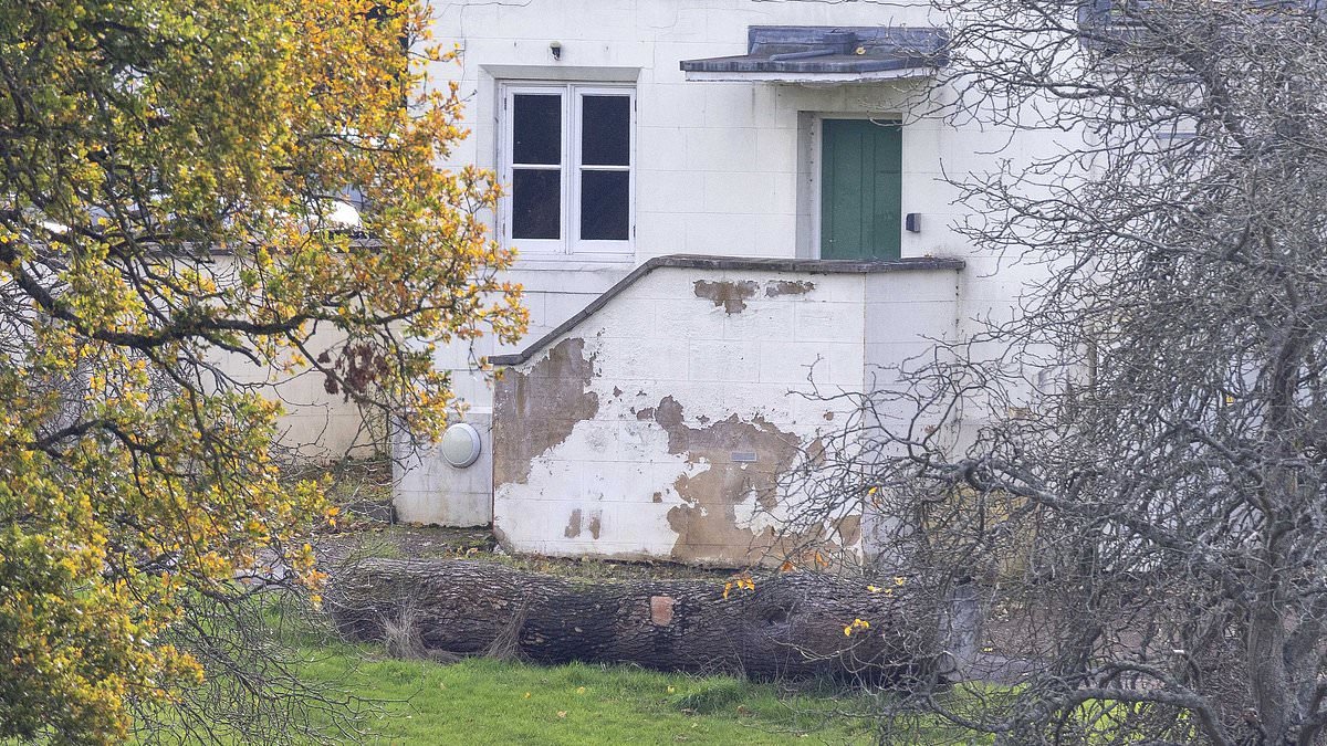 Royal Lodge was NOT inspected once by Crown Estate officials in the 22 years Andrew lived there rent-free - as controversy grows over the dilapidated condition of his former home