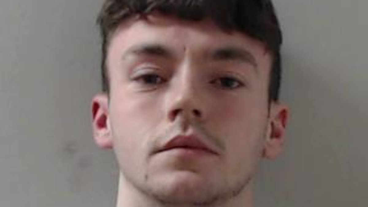 Man, 22, who killed father-of-two by pushing him in front of an ambulance with its blue lights on is jailed