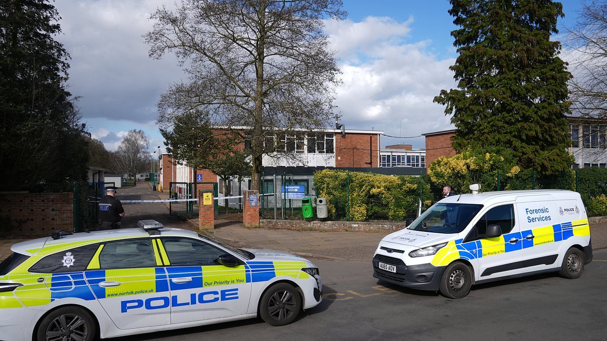 Mother of teenage girl stabbed at Norwich school reveals she was abroad at time of the attack and tells of 'terrifying' ordeal as she desperately tried to get updates on her condition