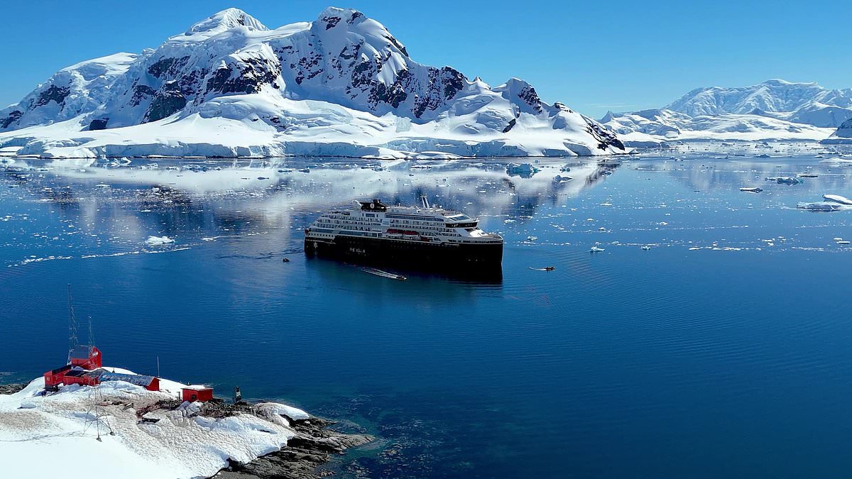 Exploring Antarctica on a cruise: Camping in the cold, snowy expeditions, ice plunges and penguin colony visits from a luxury ship revealed in Daily Mail documentary