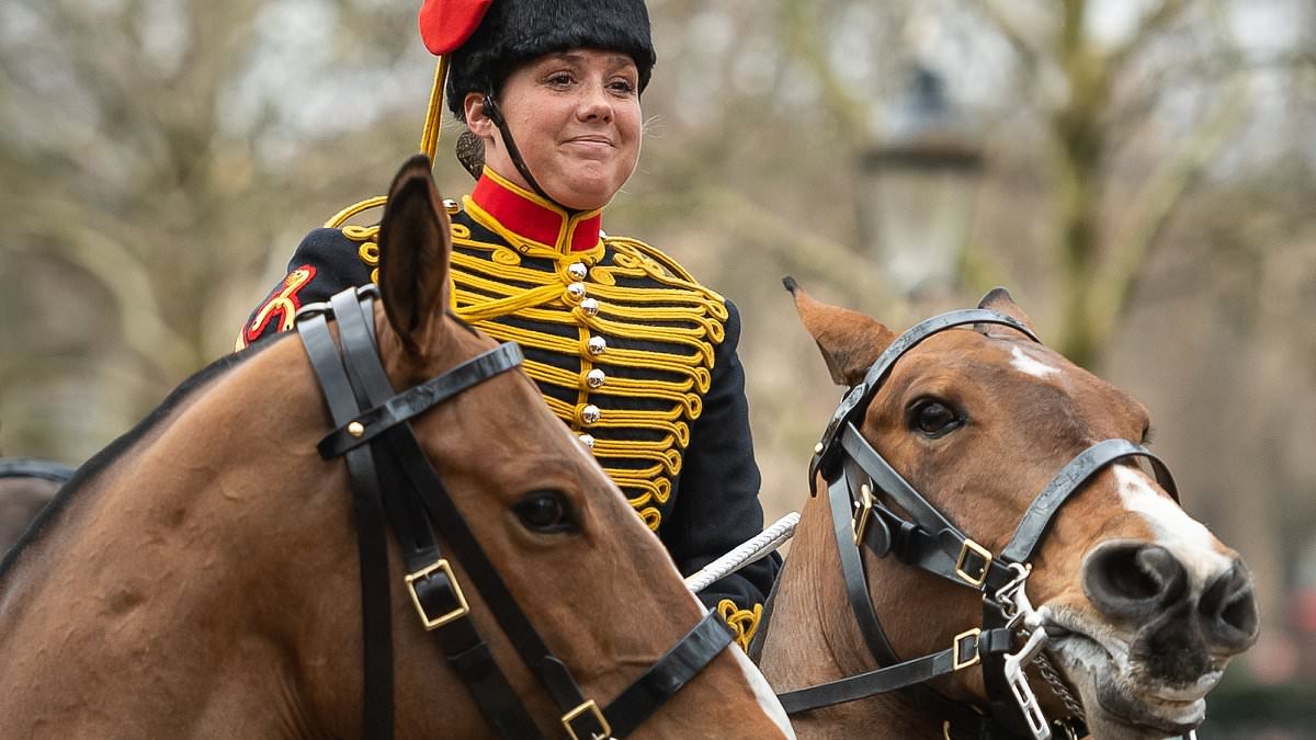 Soldier honoured for bravery played key role in recovering 'priceless' stolen antiques identified through 1990s' Lovejoy episode, father reveals