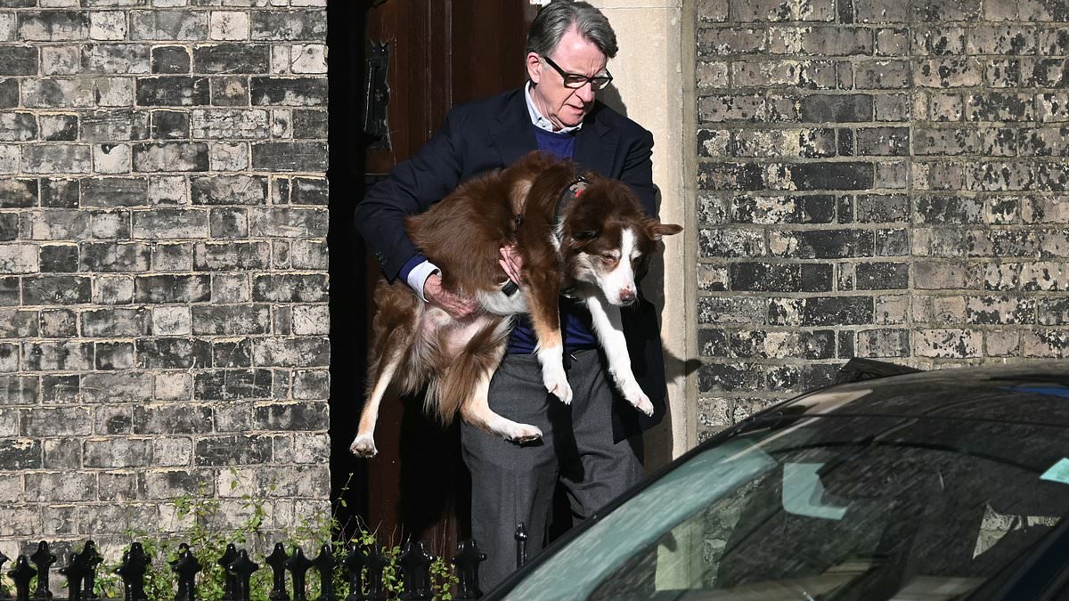 Peter Mandelson breaks cover for first time since Epstein scandal broke as news emerges of 'ghost flight' to see Putin and calls grow for him to testify to US Congress