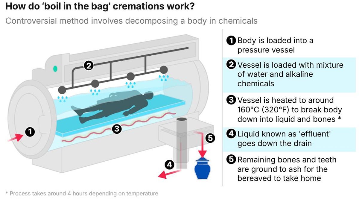 'Boil in a bag' funerals come to Britain: Scotland is the first part of the UK to introduce alternative technique that sees bodies dissolved and flushed down the drain