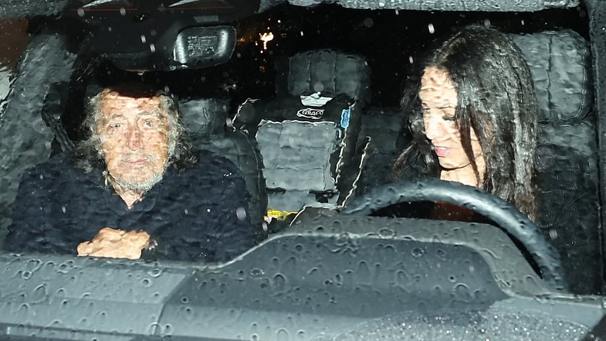 Al Pacino, 85, and baby mama Noor Alfallah, 32, spark reunion rumours as they're seen leaving a party in Beverly Hills together