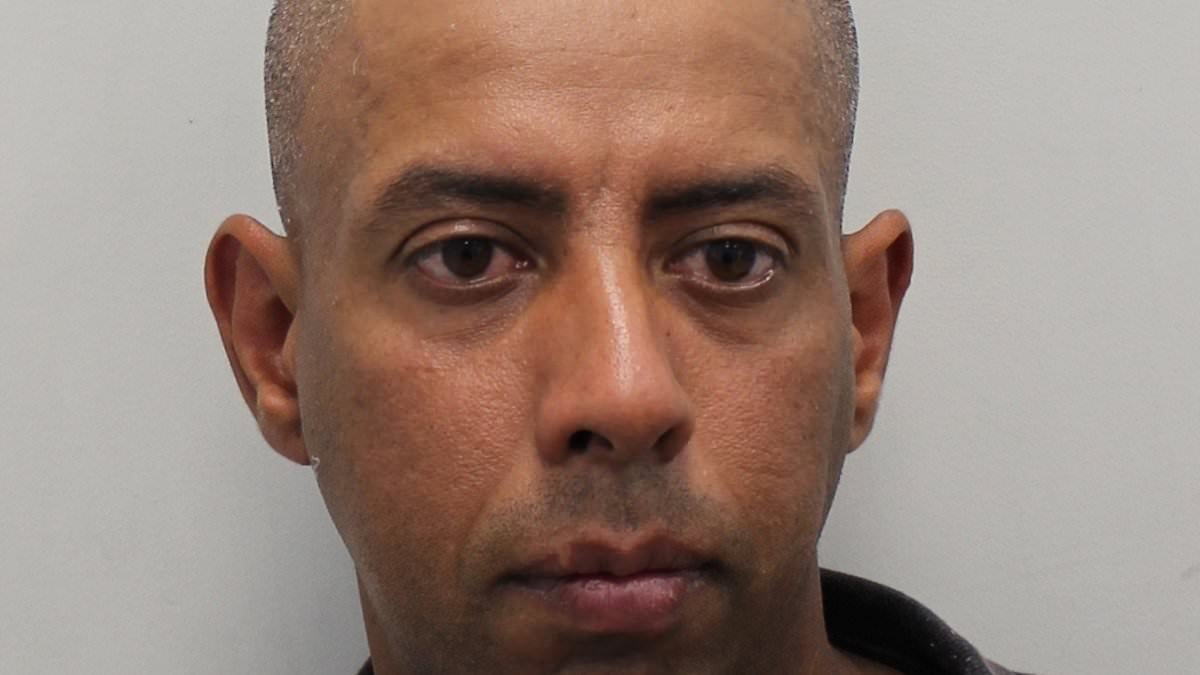 Police fear rapist who lured woman to hotel on promise of work assisting injured sportsman before assaulting her may have attacked others