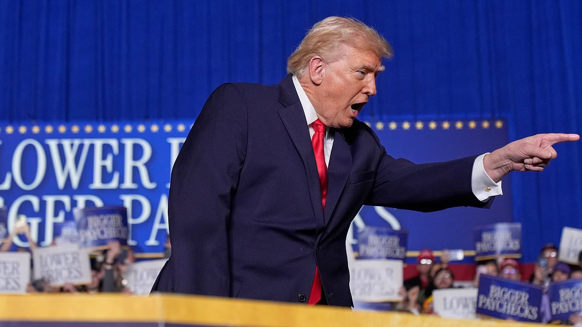 Trump clashes with 'lunatic' protester as he fantasizes of 'nice easy presidency'