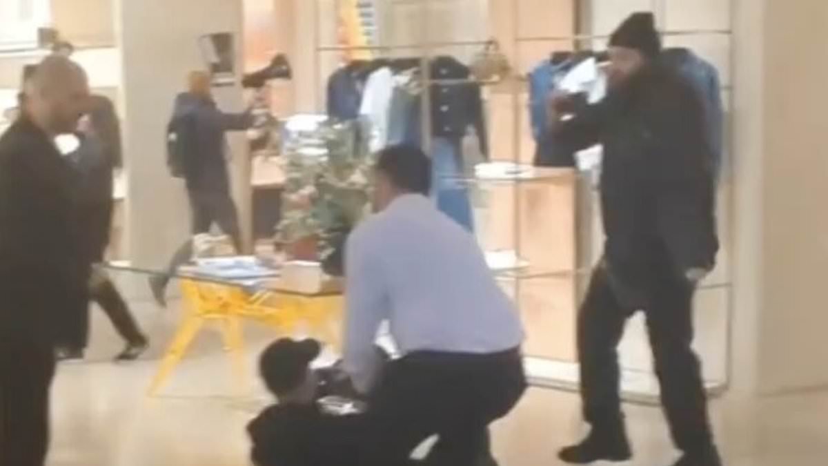 Moment animal rights activists storm Louis Vuitton London store with signs and bull horns over fur use