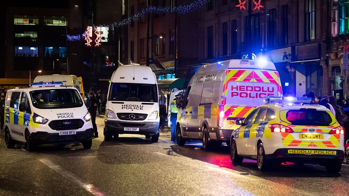 Innocent woman shot in the chest. Student dragged into an alley by two men. And assassins sticking shotguns through the letterbox... GUY ADAMS reveals how Cardiff has become overrun with gangs and addicts - and crack cocaine war behind it