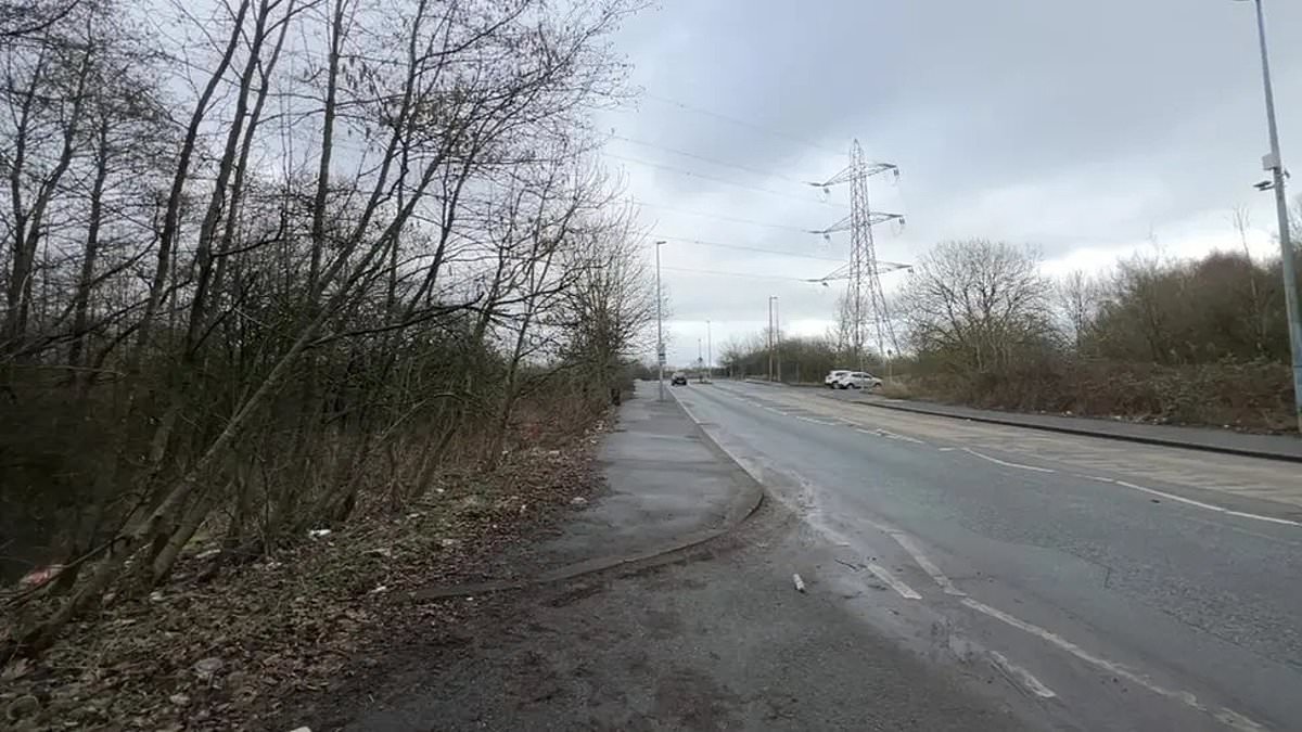 'Rapist' who pounced on lone woman and strangled her in 2003 was traced by DNA after innocent man spent 17 years in jail in a 'terrible miscarriage of justice', jury hears