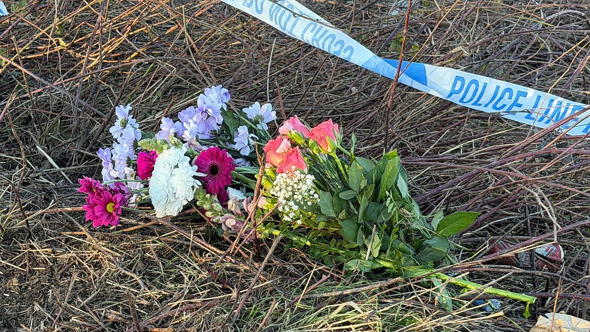 Teenage girl, 16, and boy, 17, are killed in crash on country lane after car 'swerved off road' - as third teen rushed to hospital