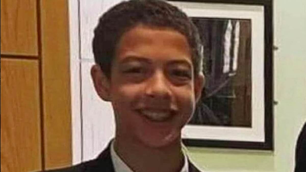 Woman thought it was a 'prank' when she saw schoolboy Noah Donohoe cycling naked on day he disappeared, inquest hears