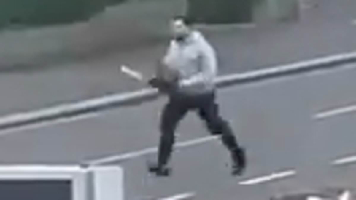 Albanian man who tried to kill police officer with a chainsaw in the street screams 'you're a f*****g terrorist' at judge as he's jailed for 10 years
