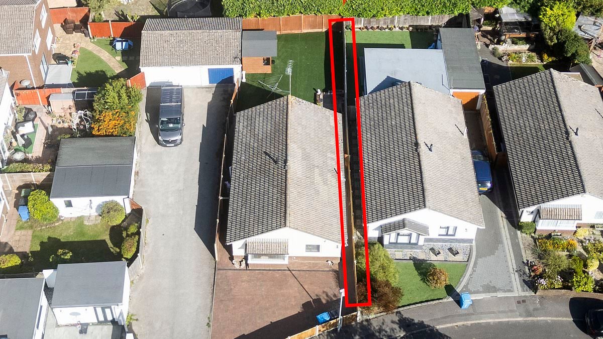 'We're sick of them! Women who waged bitter five-year garden war over 1ft of land called 'bonkers' by neighbours who 'wishes they'd BOTH move out'