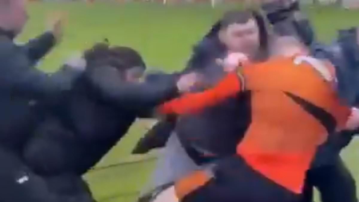 Footballer 'BRAWLS with fans' and 'coach punches opposition player' in shocking scenes as police launch investigation