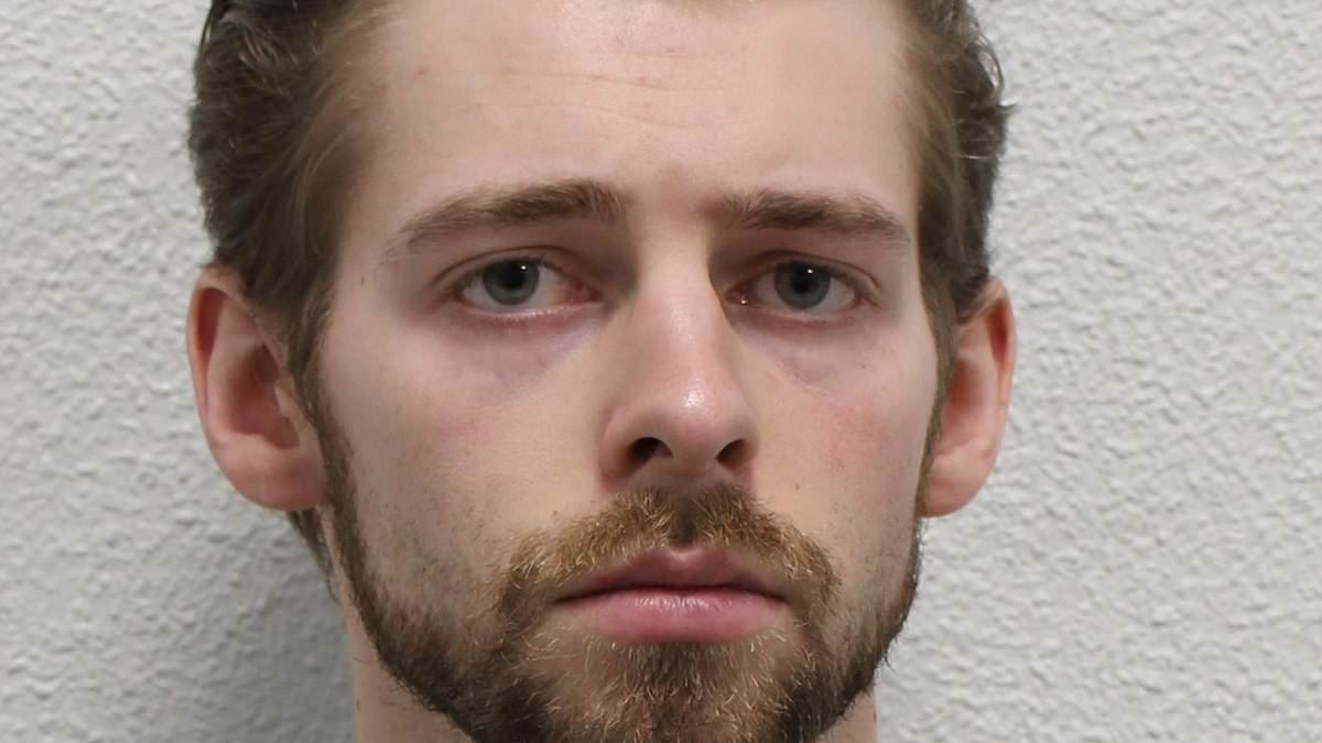 Wealthy American Goldsmiths student who murdered his girlfriend then called his father asking for a solicitor as she lay dying is jailed for life