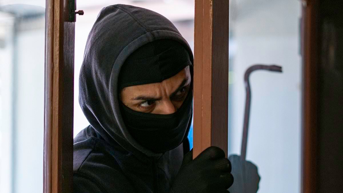 Police 'failed to solve 92% of burglaries' in Britain last year, new figures show