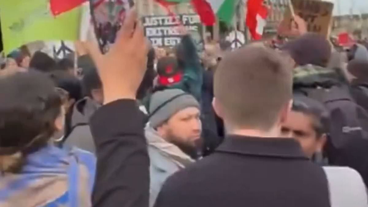 Green Party deputy leader joins pro-Tehran demonstration