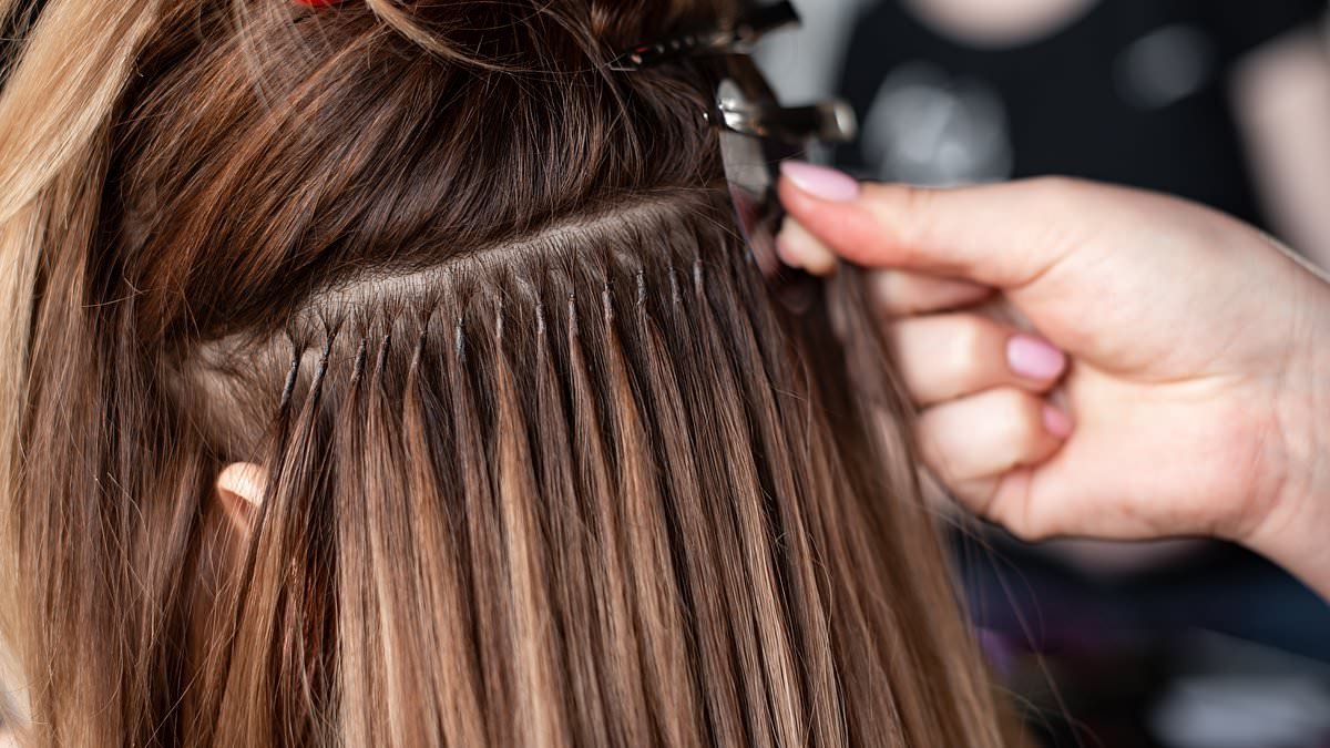 Scientists issue an urgent warning over HAIR EXTENSIONS - as analysis reveals they contain dozens of cancer-causing chemicals