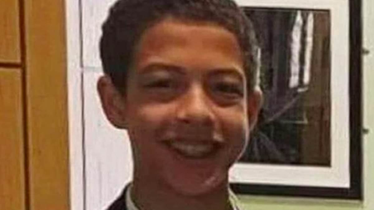 Tragic Noah Donohoe, 14, fell off his bike and was seen undressing in the street on the day he went missing, witnesses say - but he didn't seem to have a head injury that would explain how he ended dying naked in a storm drain
