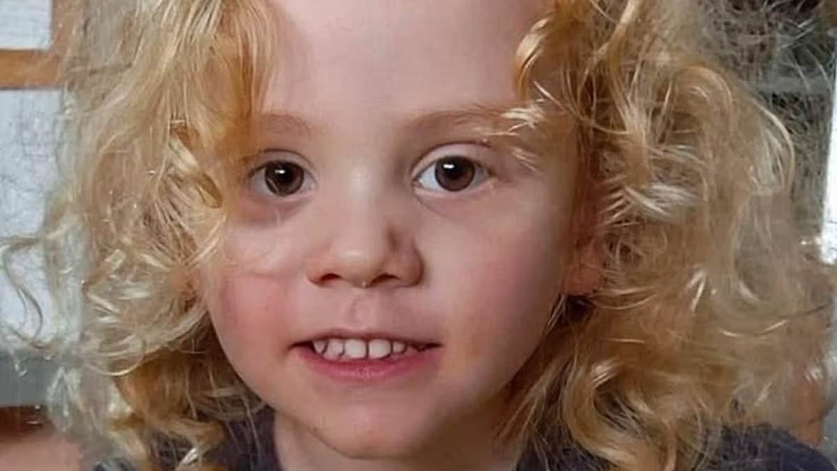 Gus Lamont updates LIVE: Police detail bombshell development in case of missing four-year-old boy
