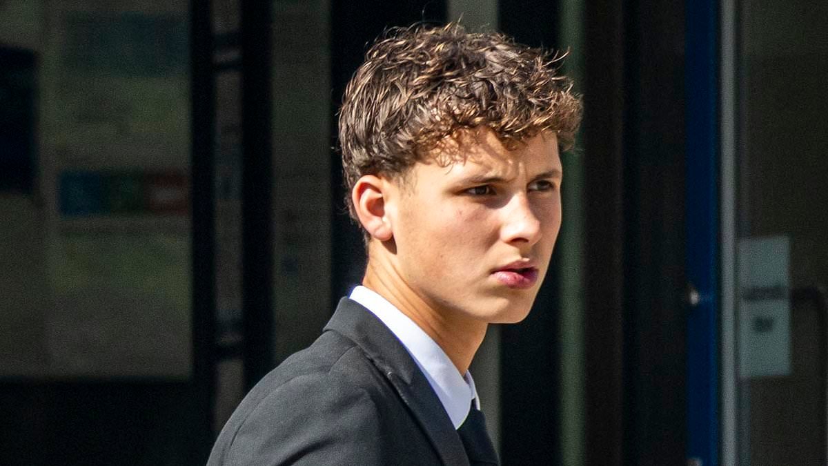 Two brothers who left girl, 17, critically injured in Sandbanks crash as they raced each other in cars they were gifted by their parents avoid jail