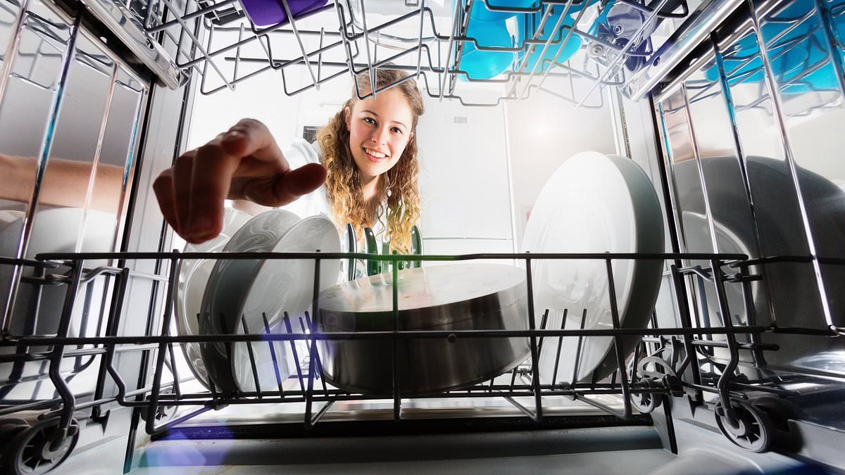 It is FINALLY official: You've been stacking your dishwasher wrong... and it could be costing you thousands of pounds. Now an expert reveals the definitive way to do it, all the common mistakes people make - and how to fix them